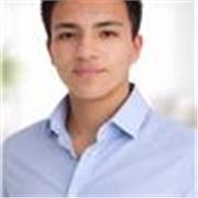 Profesor de matemáticas para niños y adolescentes