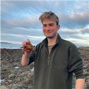 PhD Student looking to tutor Science at at GCSE level