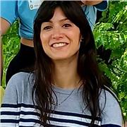 Insegnante di lingue impartisce lezioni di Spagnolo, Francese (Torino, zona S. Paolo)