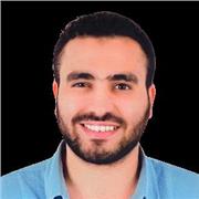 Ahmed Ismail Mokhtar