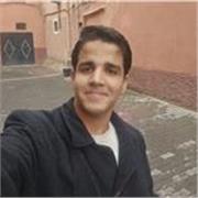 Professor of the English language a guide to learn 