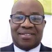 DR THEOPHILUS BANJI: AN EXPERIENCED TUTOR OF THE ENGLISH LANGUAGE