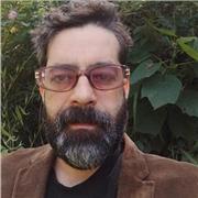 Maestro para apoyo profesional en inglés