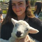 Molly Charlton