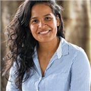 Clases de español, español para extranjeros y de investigación