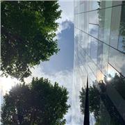 Well-Being & Mindfulness Facilitator offering private online sessions