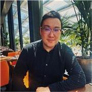 I will give lessons in art and illustration