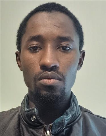 Diallo