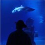 Sin experiencia enseñando pero con muchas ganas de compartir la información que sé 