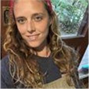 Professor de ingles - remoto aula de suporte