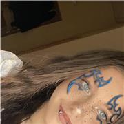 Doy clases particulares al alumno online o presencial