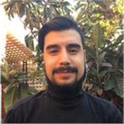 Clases de Matemáticas, educación media y universitario