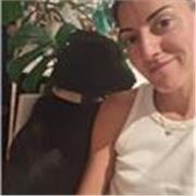 Maestro de español en linea