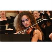 Impartisco lezioni private di violino e solfeggio a bambini, ragazzi e adulti.