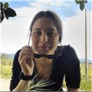 Offro ripetizioni di inglese