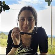 Offro ripetizioni di inglese