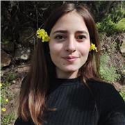 Docente di filosofia e psicologia imparte lezioni delle due materie per studenti del liceo e dell'università