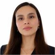 Docente de matemáticas, ciencias sociales y a fines