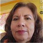 Profesor para jóvenes de secundaria apegado a programa de la sep con apoyos tecnologicos