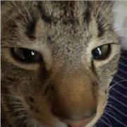 Soumik