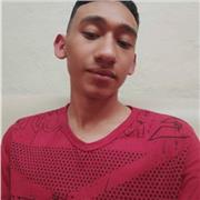 Profesor de matemáticas todos los grados