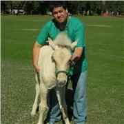 Clases de biología colegio o preparación PAES presencial u online