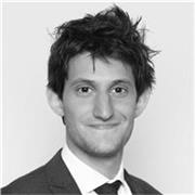 Business English & Français professionnel: Ripetizioni e lezioni con un professionista giuridico internazionale (Madrelingua/Fluen