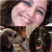 Dou aulas de português e inglês para todos os níveis e idades