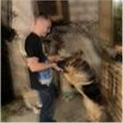 Studente di Commercio Estero, diplomato al liceo scientifico offre ripetizioni di matematica e fisica per scuole medie e superiori