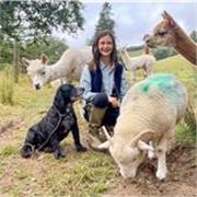 Russian lessons with a native speaker 'Garmoshka