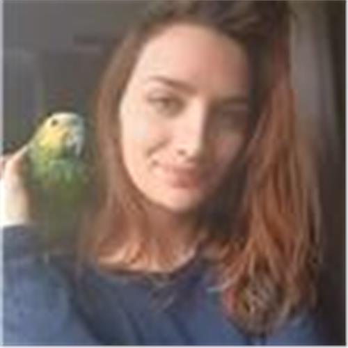 user photo