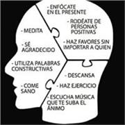 Curso de Páginas Web o Tienda virtual carrito compra en WordPress con maquetador visual, registro dominio .com y hosting o alojamiento web incluído