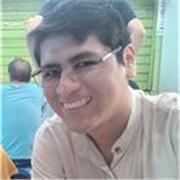 Profesor de lengua y literatura y redacción a nivel secundaria y preuniversitario