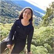 Clases de refuerzo en matemáticas básicas de 1ro básico a 8vo básico