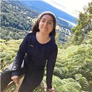 Clases de refuerzo en matemáticas básicas de 1ro básico a 8vo básico