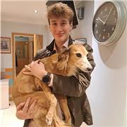 Grade 9 GCSE Help! Lessons and guidance from a previous Grade 9 Student