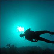 Semi