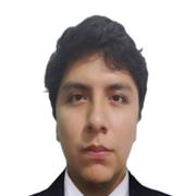 Profesor de psicología en nivel universitario