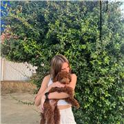 apoyo de forma presencial para primaria y secundaria