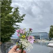 Patient and effective English tutor willing to provide my best to teach English.