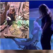 Clases de biología desde primaria hasta bachiller. Modalidad online y presencial (consultar horario). Otras materias consultar