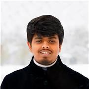 Math and Physics tutor for childrens. Functions, Geometry, Calculus, Vectors, Algebra, Classical Mechanics, Electronics etc