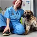 Licenciada veterinaria ofrece clases para estudiantes que cursen el título de profesionalidad como atv's y biología
