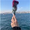 Konuşma, gramer ve anlama odaklı online İngilizce dersleri sizi bekliyor!
