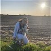 Spanish tutor teaches students for all ages