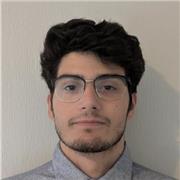 Experienced Political Science Graduate & Multilingual Tutor Available