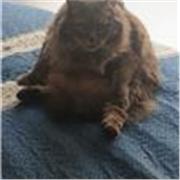 Prrofesor de Matemáticas con experiencia en clases particulares online