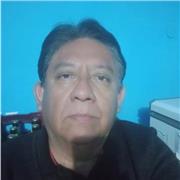 Teletrabaja de Profesor/a de Historia - Trabajo Part Time sin Experiencia