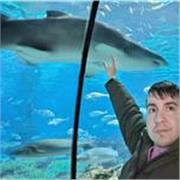 Soy responsable, trabajador y buen cuidador
También soy puntual 