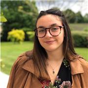cours de soutient scolaire, aide aux devoirs, primaire et collège, français, mathématiques, histoire/géographie
